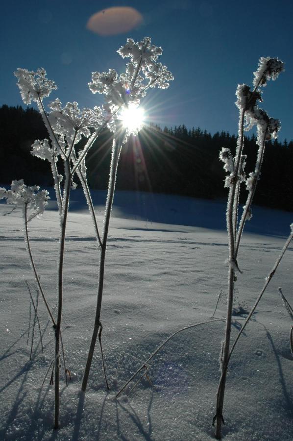 Gasthof Hirschenwirt Schöder Exteriér fotografie