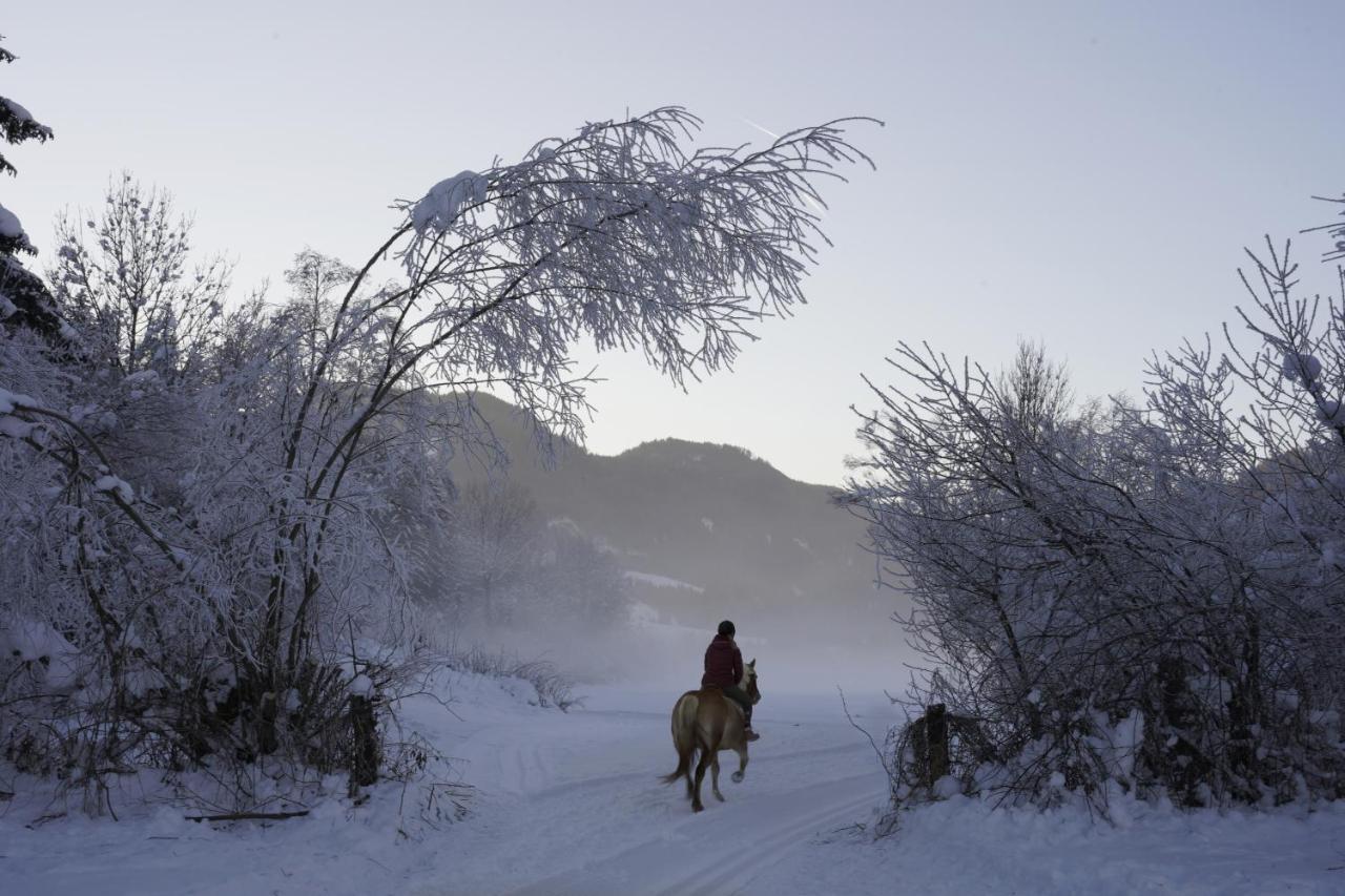Gasthof Hirschenwirt Schöder Exteriér fotografie