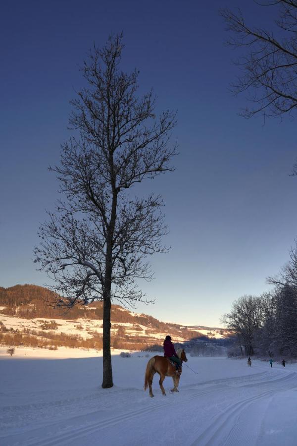 Gasthof Hirschenwirt Schöder Exteriér fotografie