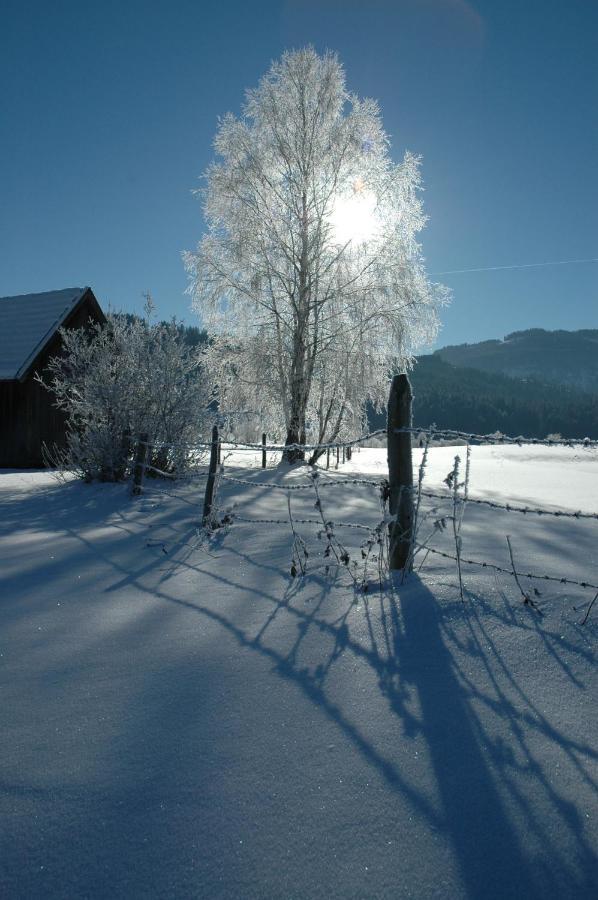 Gasthof Hirschenwirt Schöder Exteriér fotografie