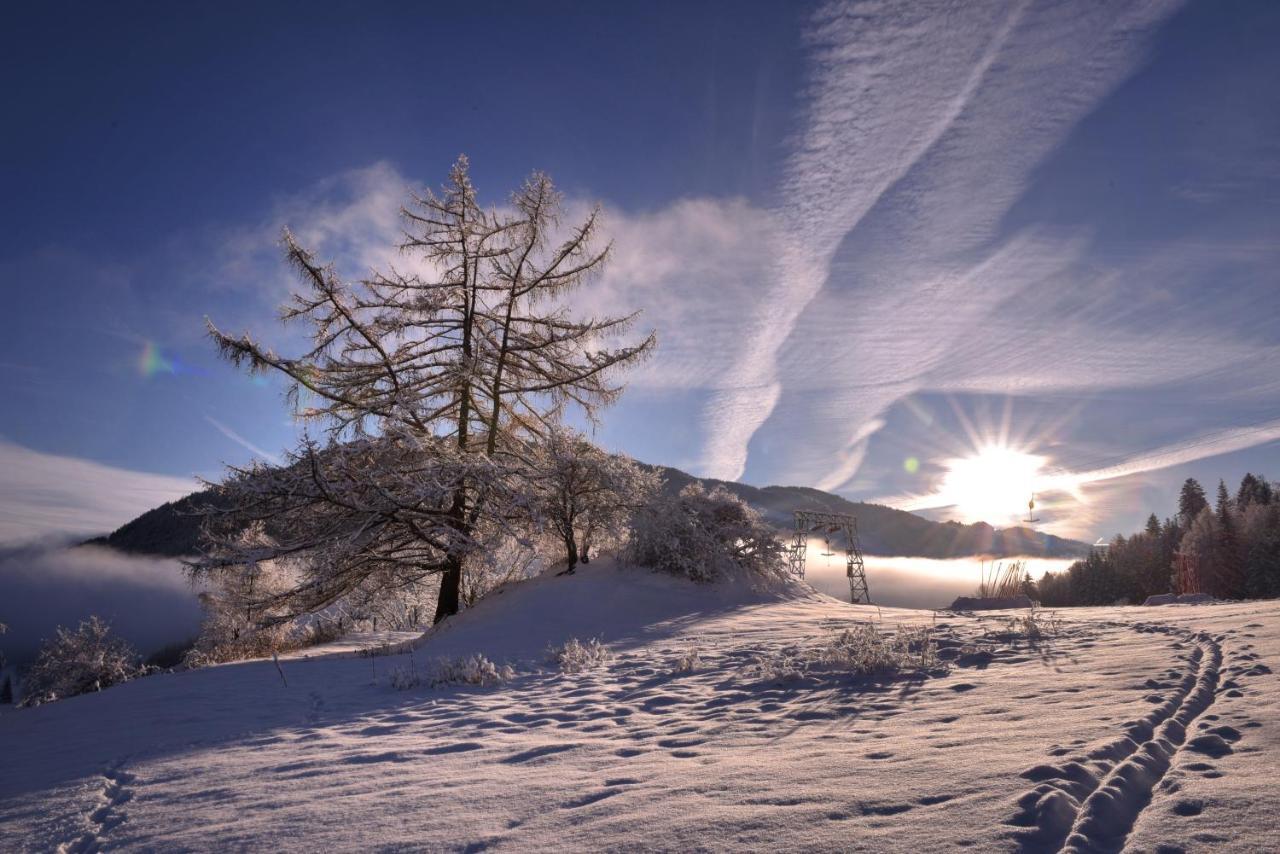 Gasthof Hirschenwirt Schöder Exteriér fotografie